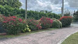 Spring Village by Canal Loft • MIA, free parking