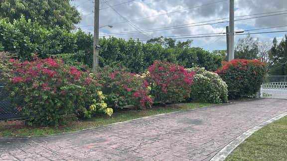 Spring Village by Canal Loft • MIA, free parking